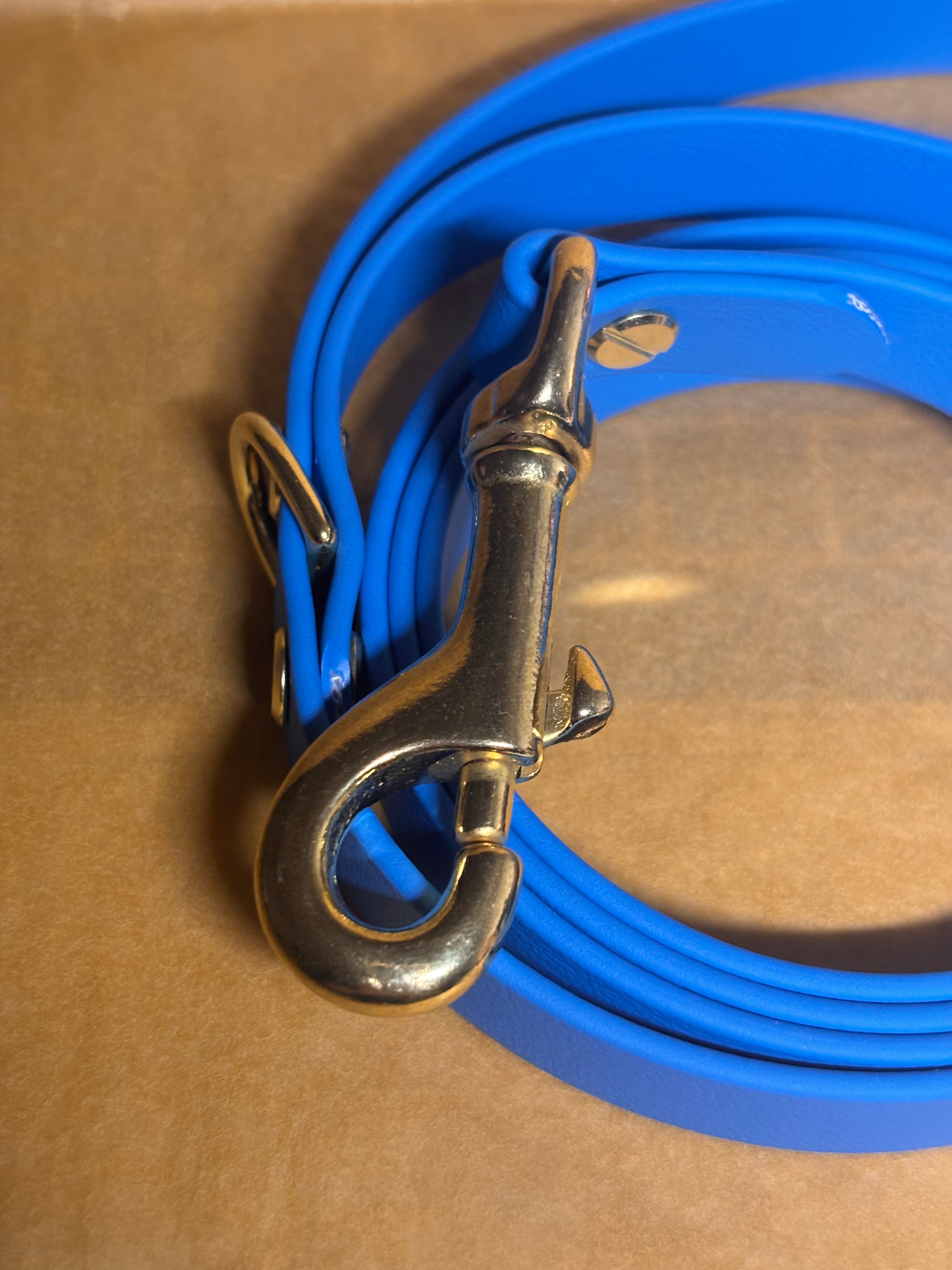 Accessoire chien laisse artisanale résistante et confortable