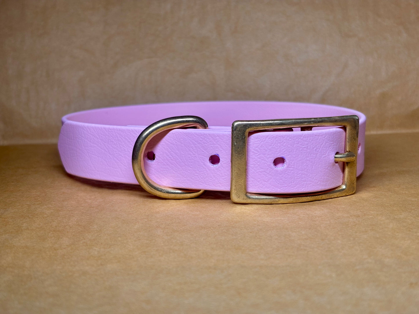 Collier Biothane Milo pour chien actif