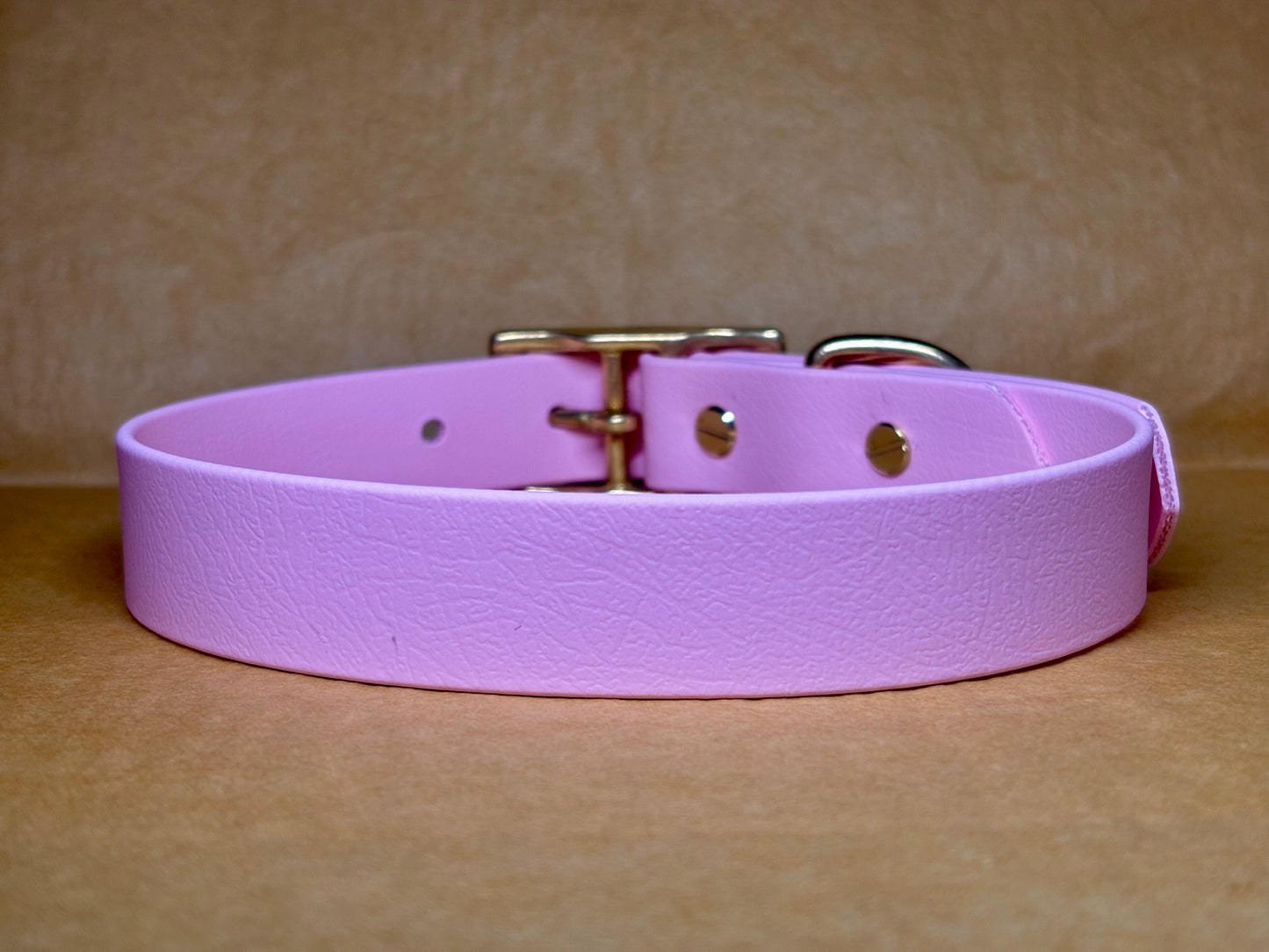 Collier Milo pour chien, robuste et élégant