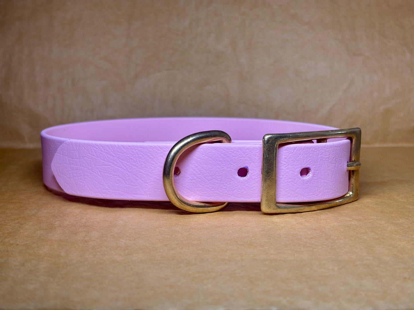 Collier chien Milo, confortable et résistant