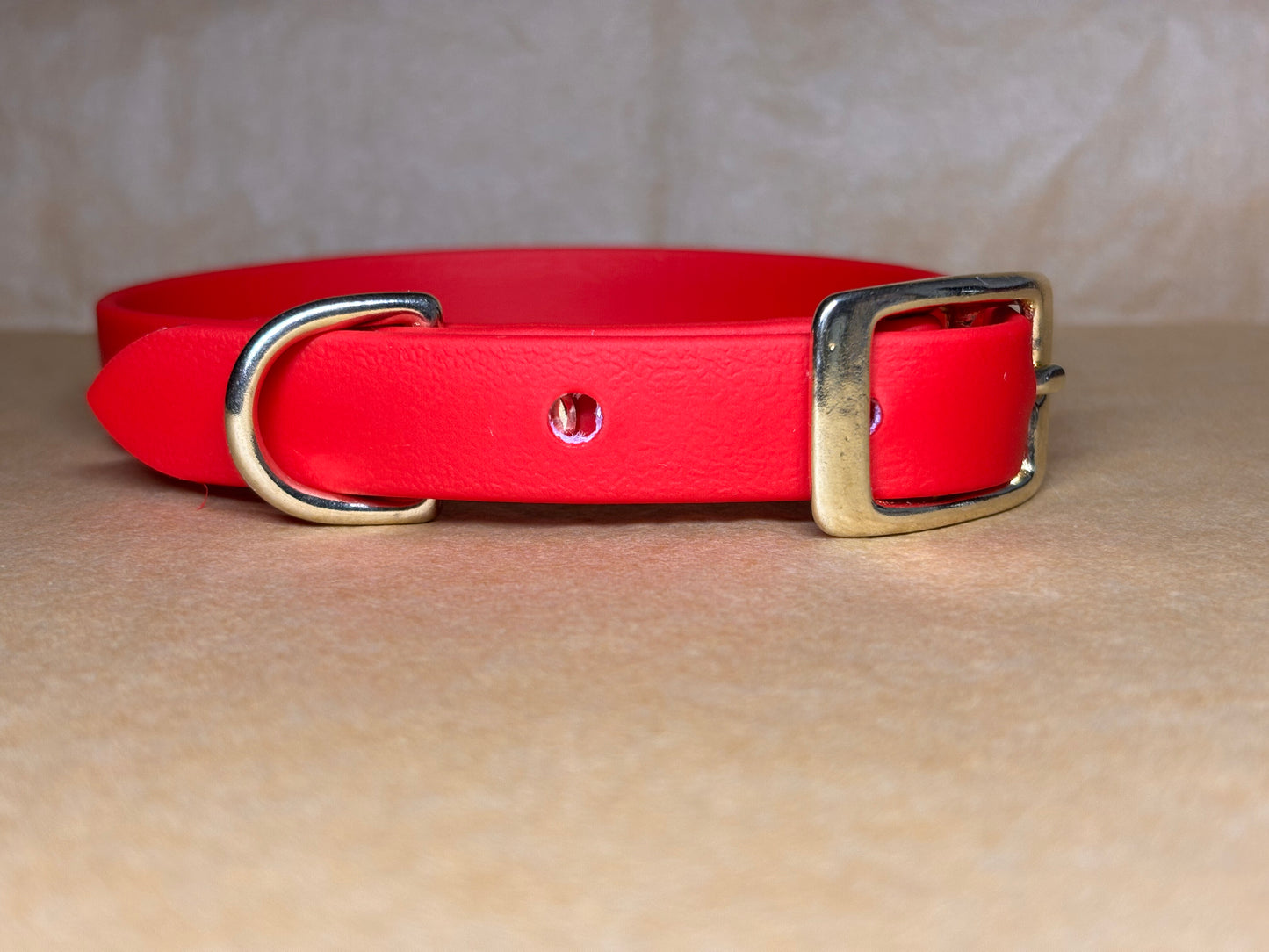 Collier doux et solide pour petits, moyens et grands chiens