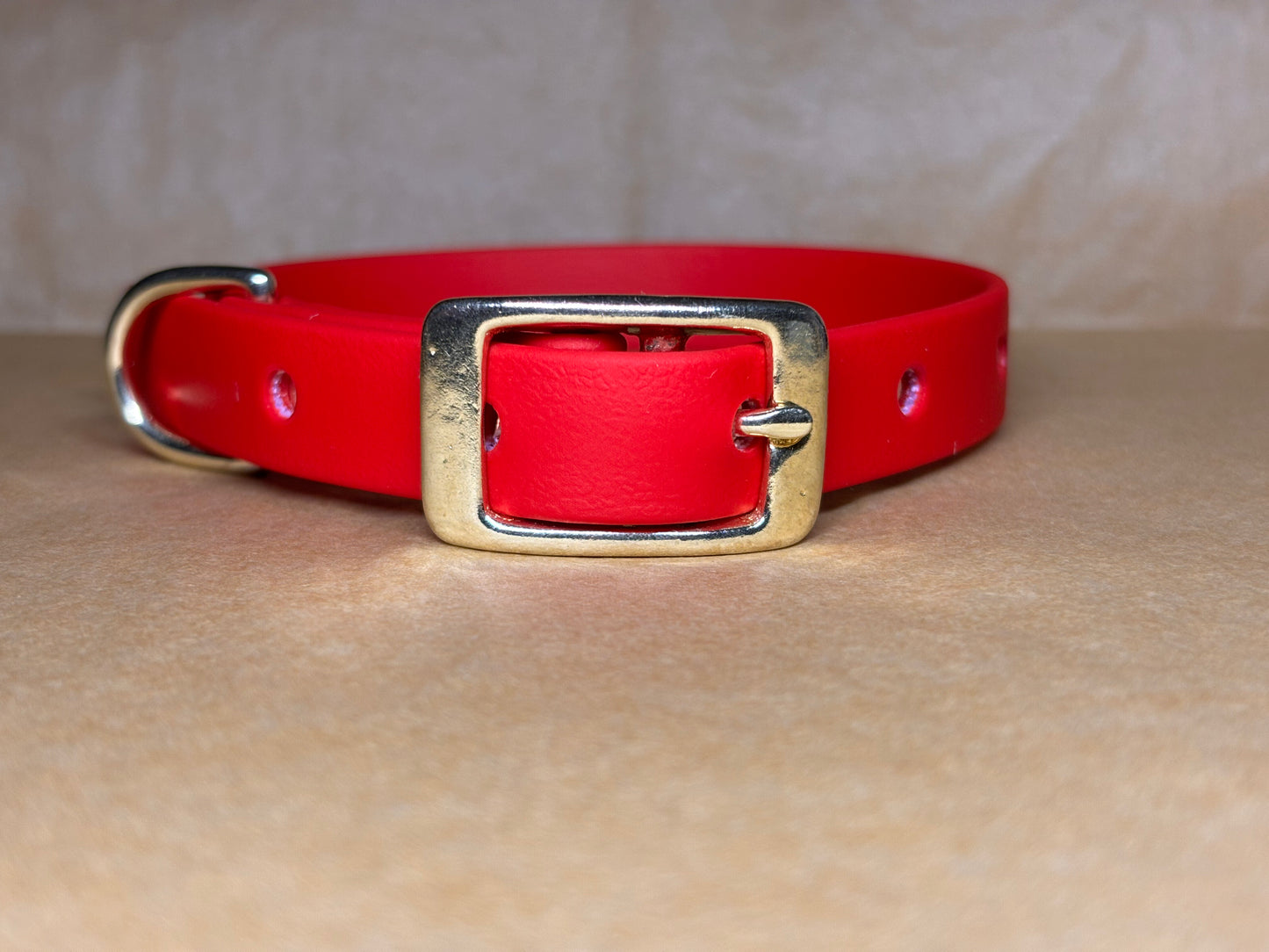 Collier élégant et résistant pour chiens – modèle Cookie