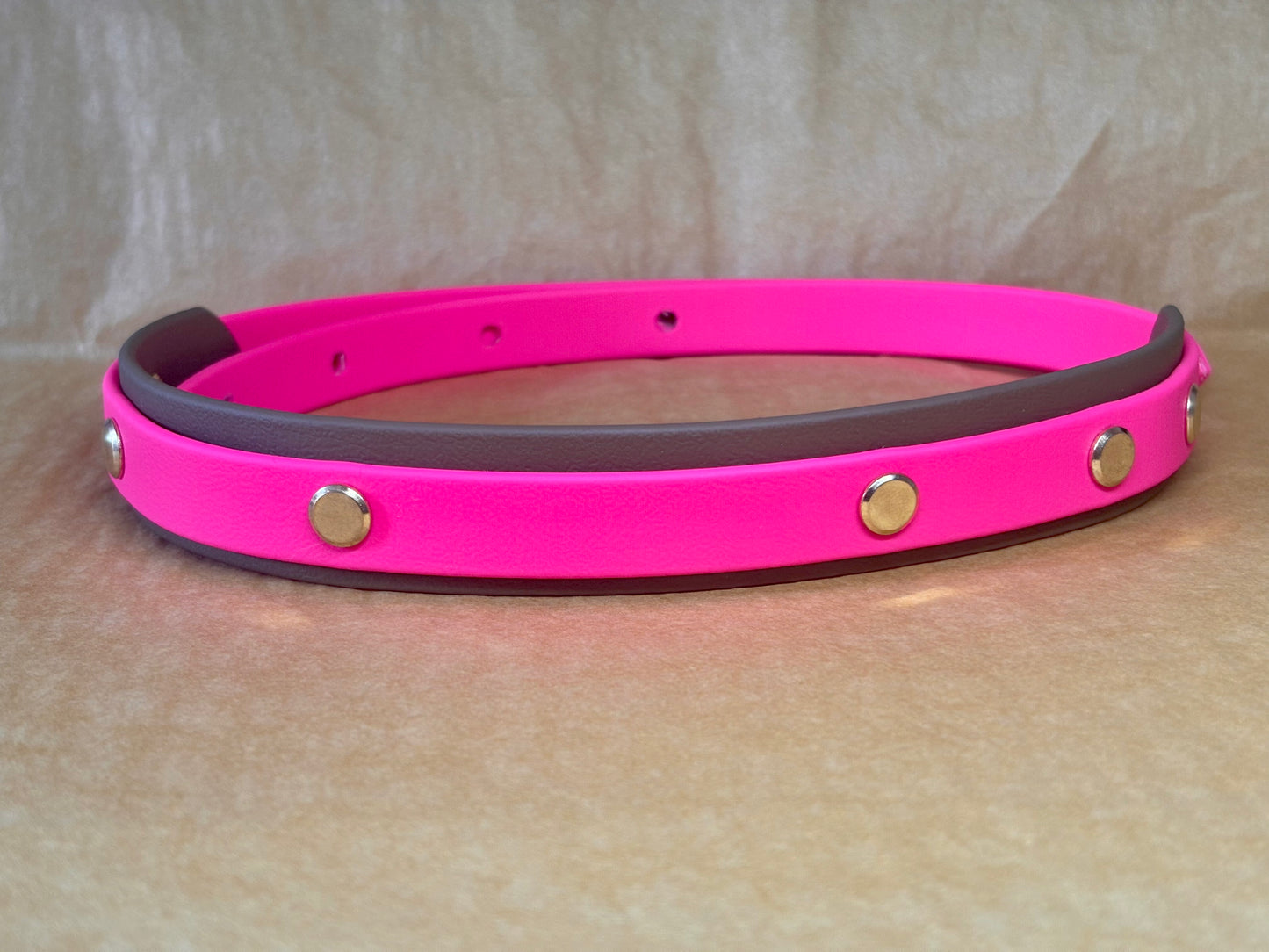collier atlas pour grand chien en Biothane
