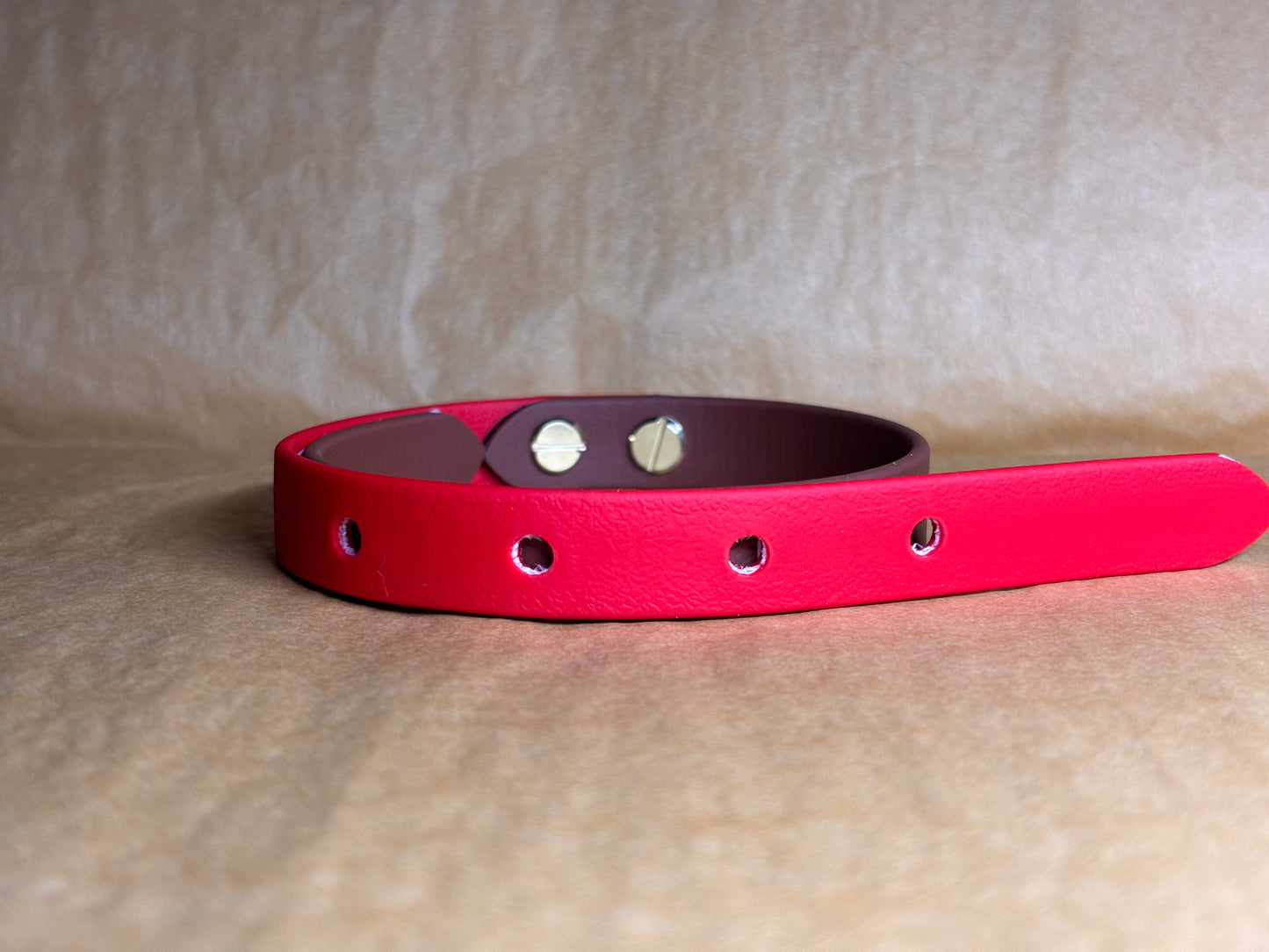 collier chien design