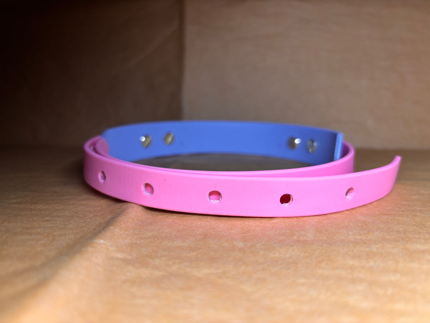 collier chien élégant et résistant taille L