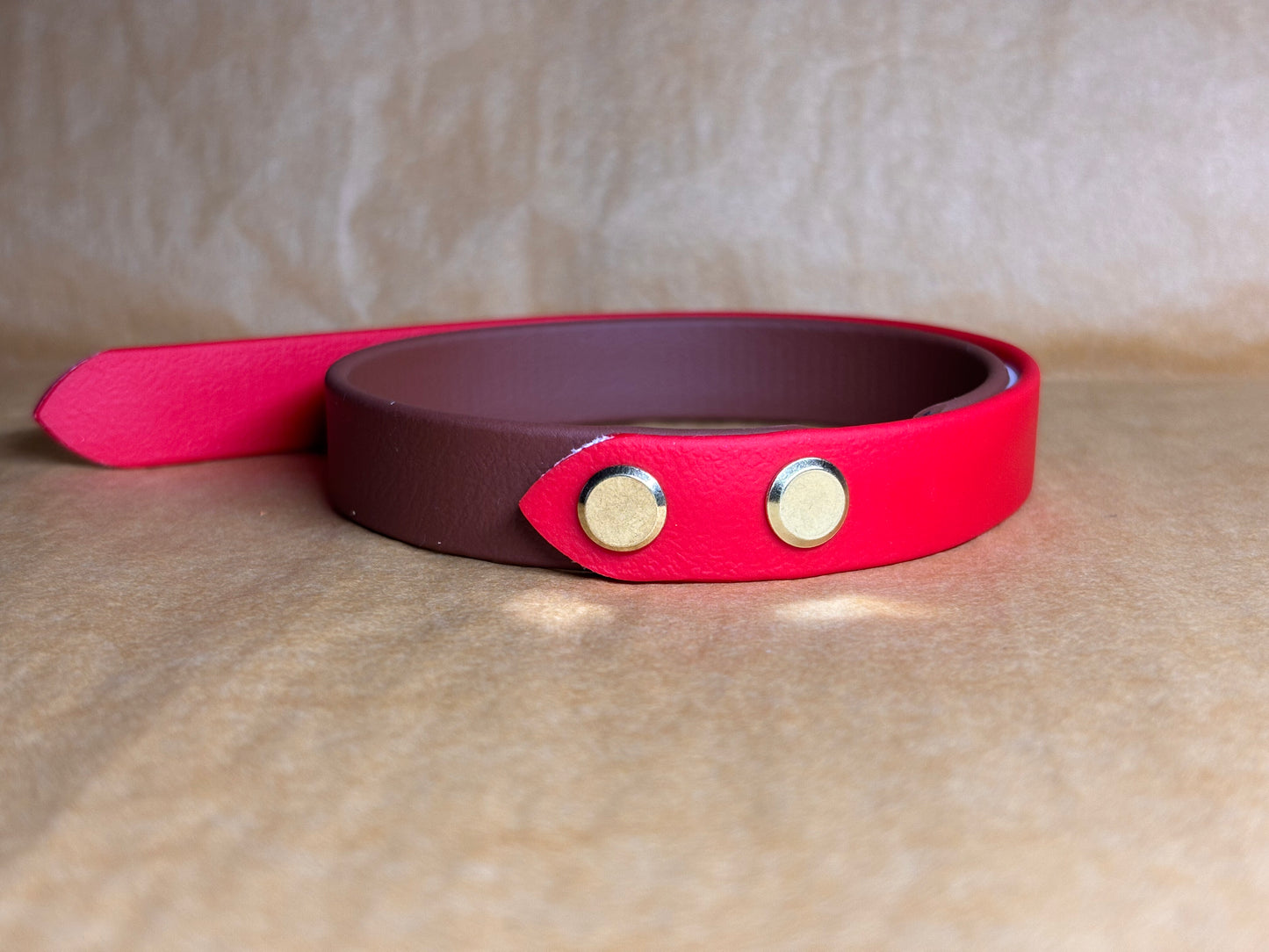 collier petit chien Biothane