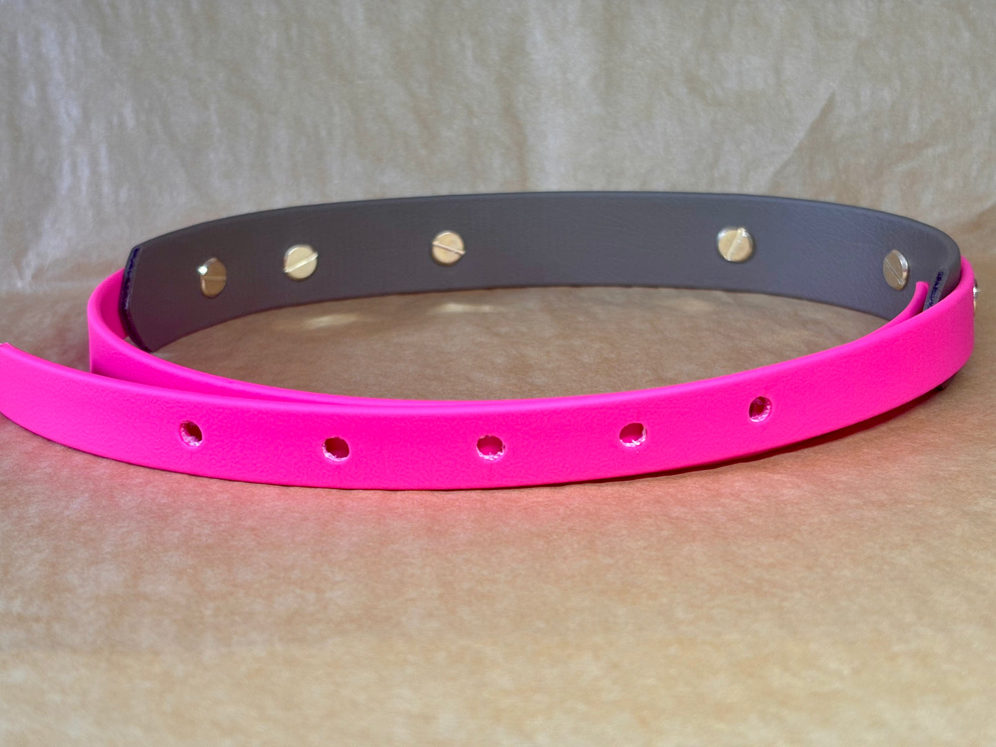 collier pour chien XL résistant et imperméable