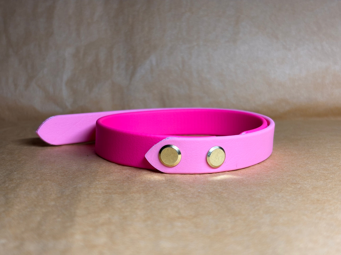collier pour petit chien