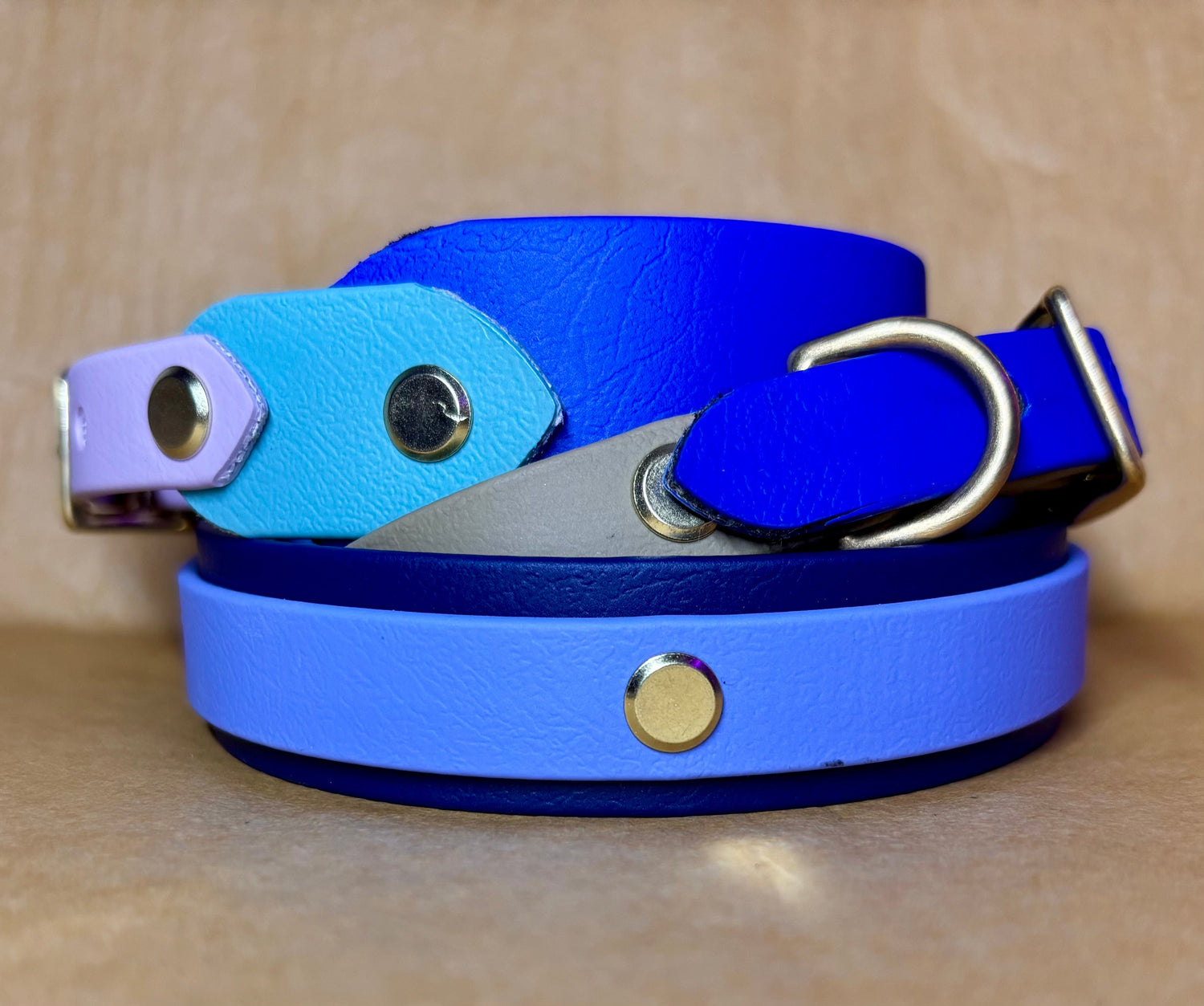 CHIEN SUR MESURE