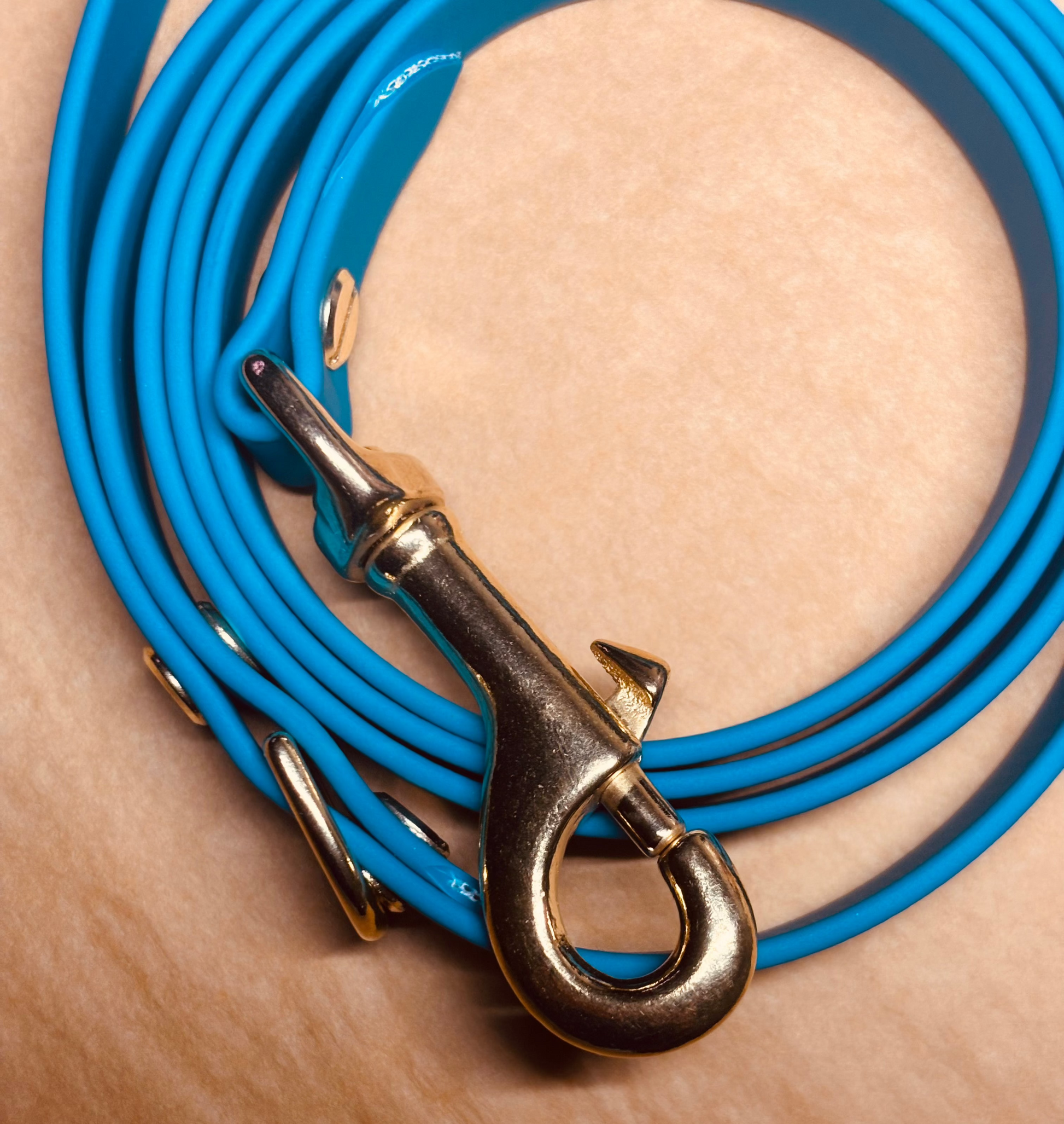 Accessoire chien laisse Biothane souple et facile à entretenir