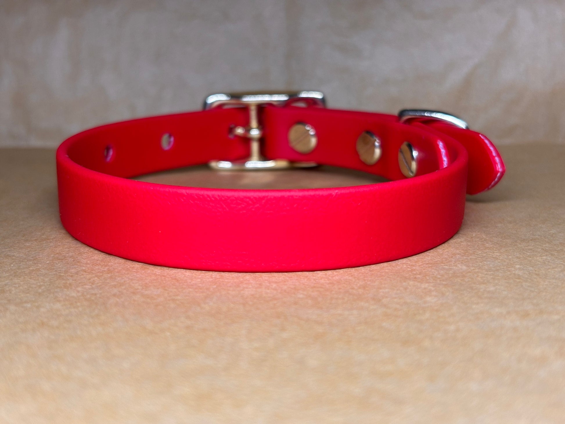 Collier Cookie pour chien fait main