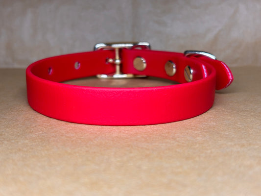 Collier Cookie pour chien fait main