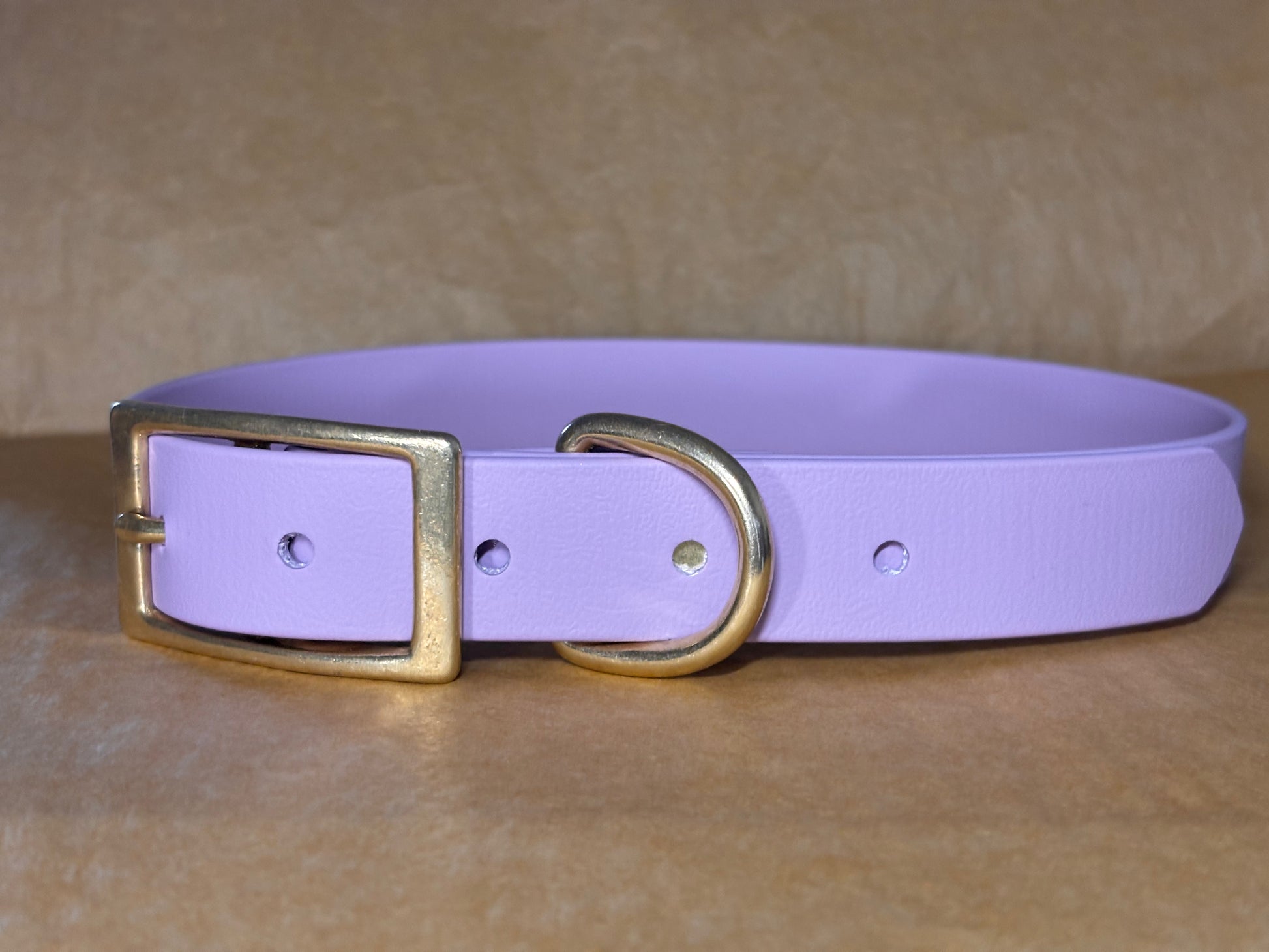 Collier Iris lilas pour chien, facile à entretenir et résistant