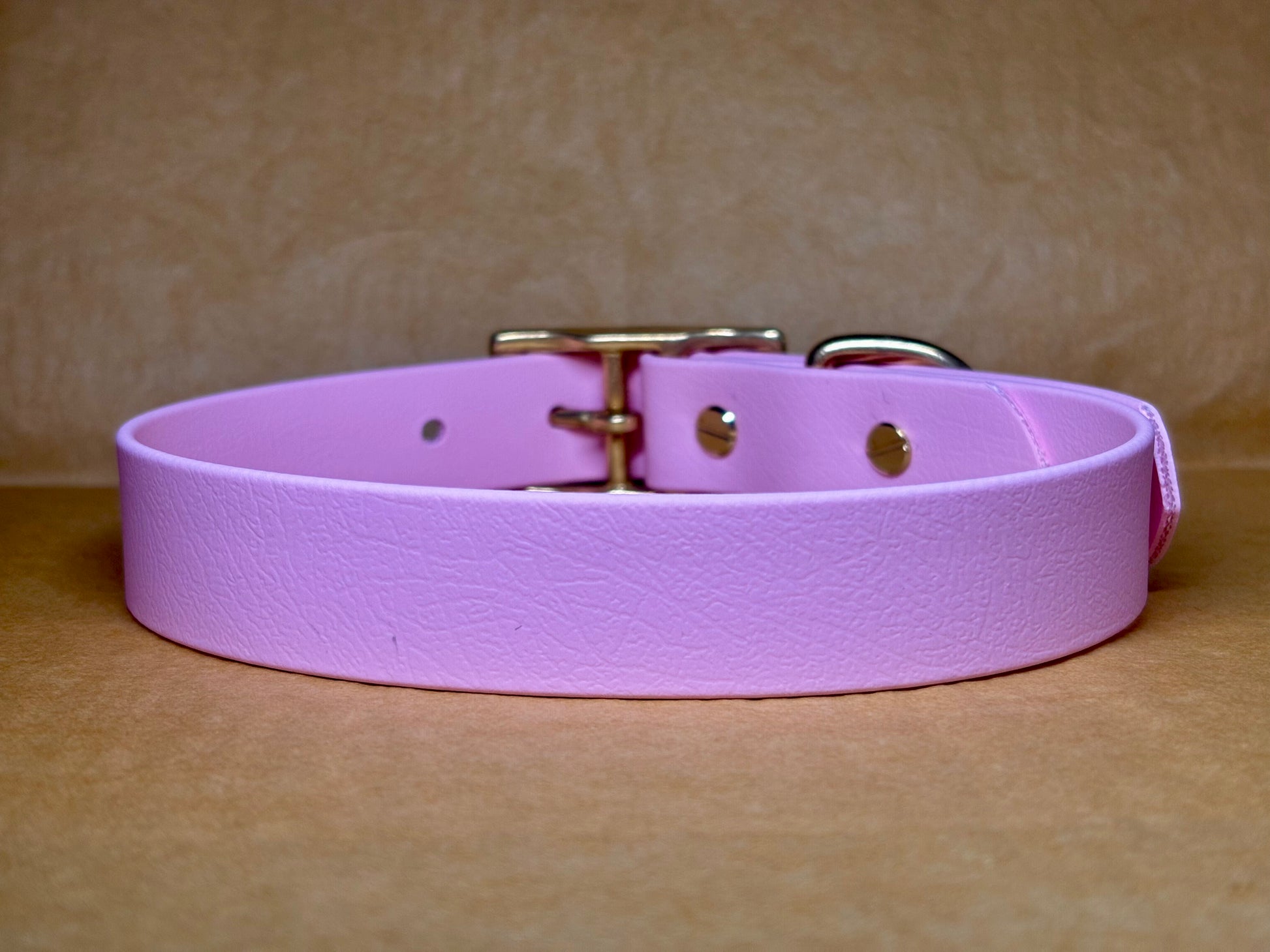 Collier Milo pour chien, robuste et élégant