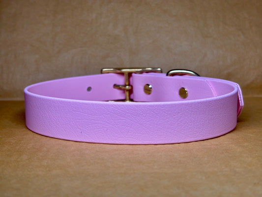 Collier Milo pour chien, robuste et élégant