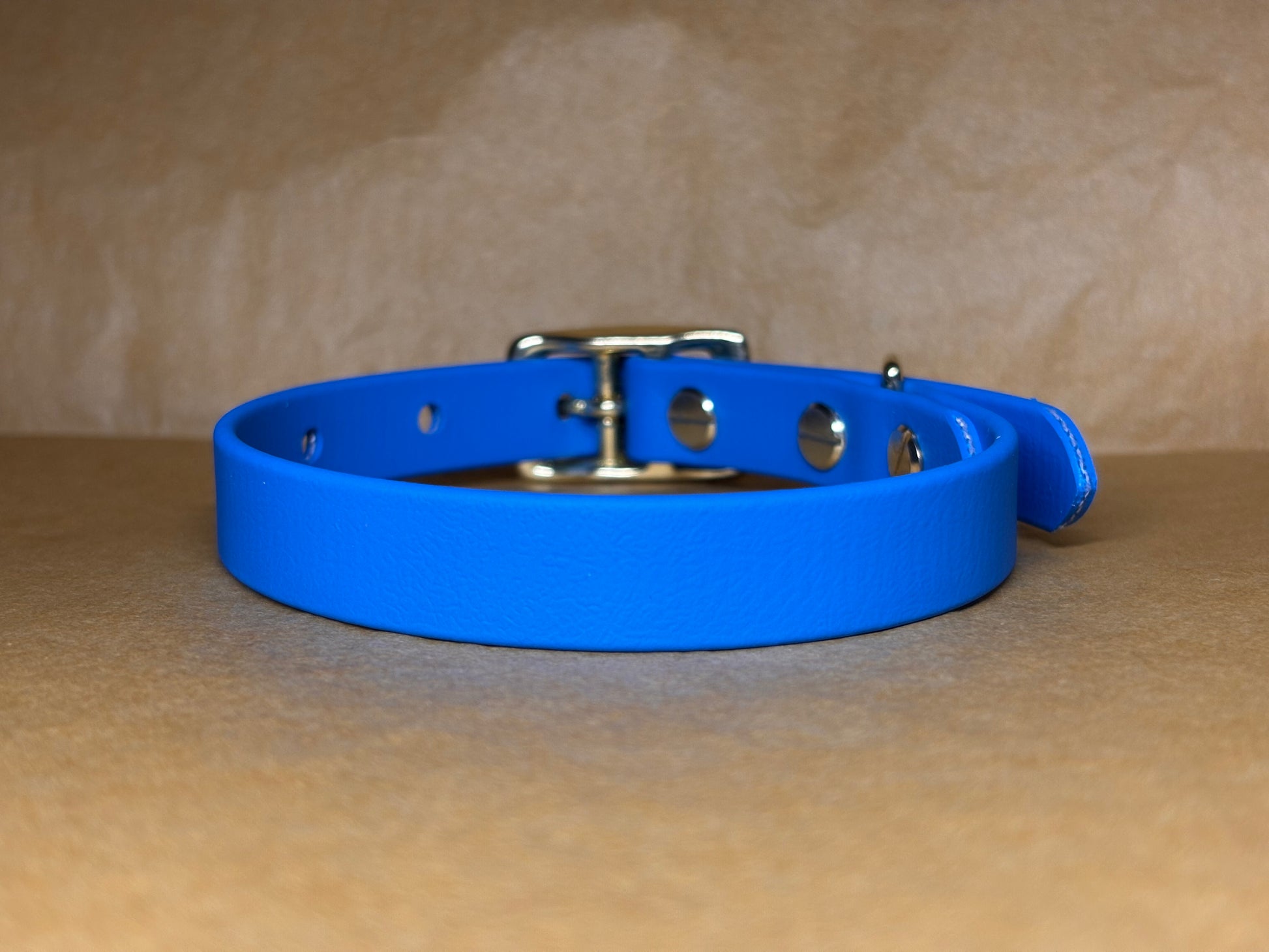 Collier Teddy en Biothane pour chien