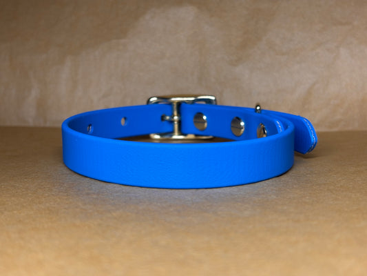 Collier Teddy en Biothane pour chien