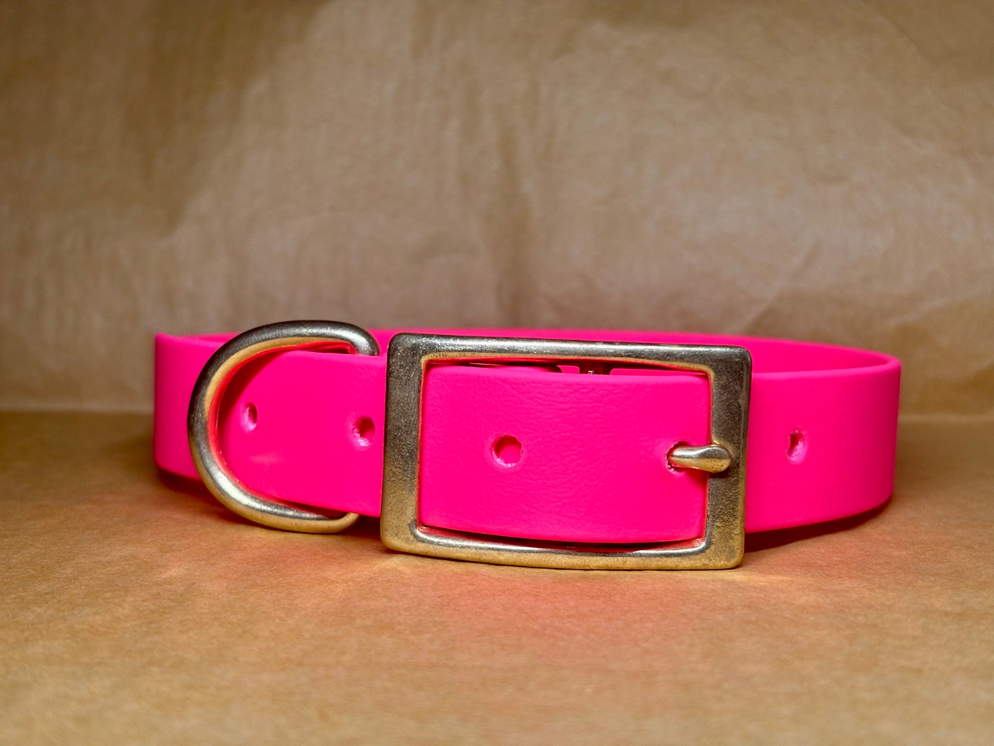 Collier Zara pour chien, confortable et robuste