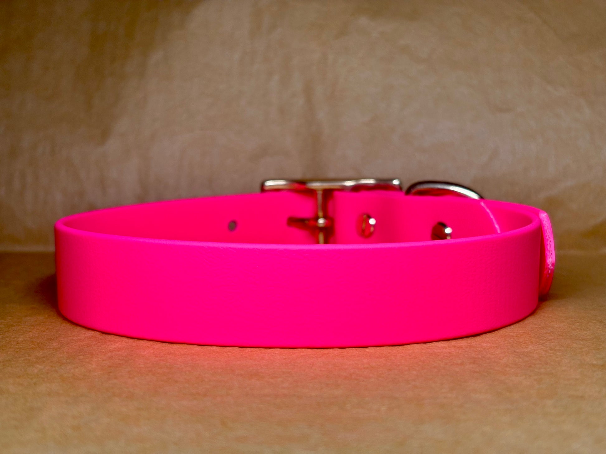 Collier Zara rose fluo pour chien, résistant et stylé