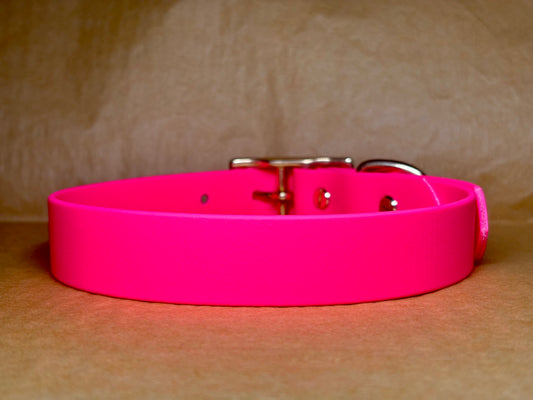 Collier Zara rose fluo pour chien, résistant et stylé