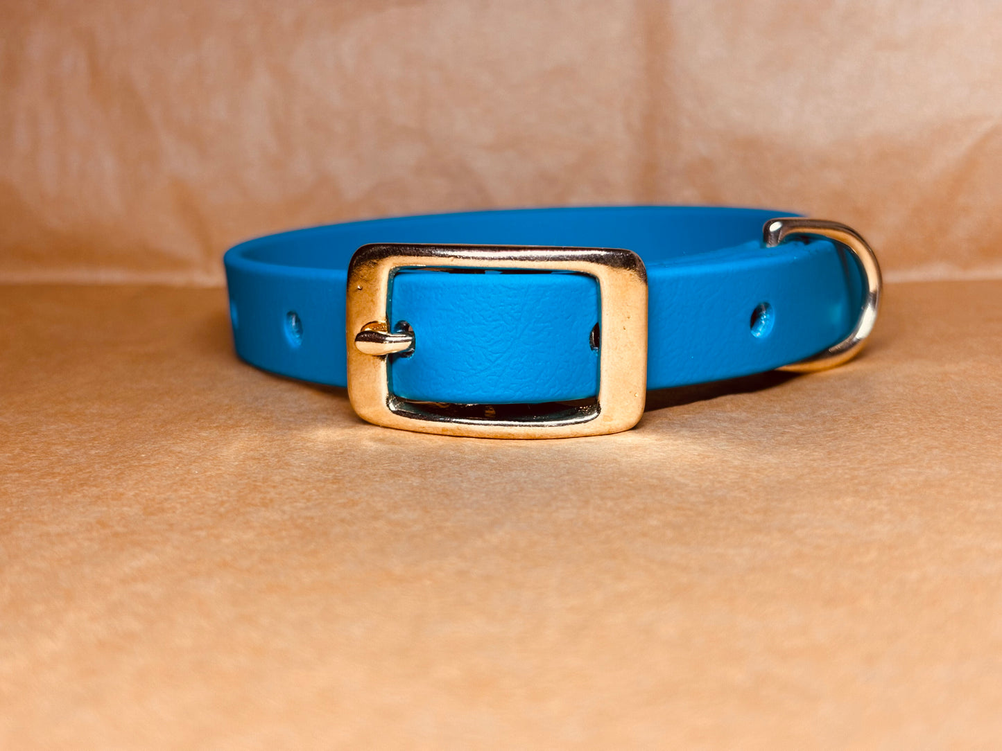 Collier original et solide pour chiens
