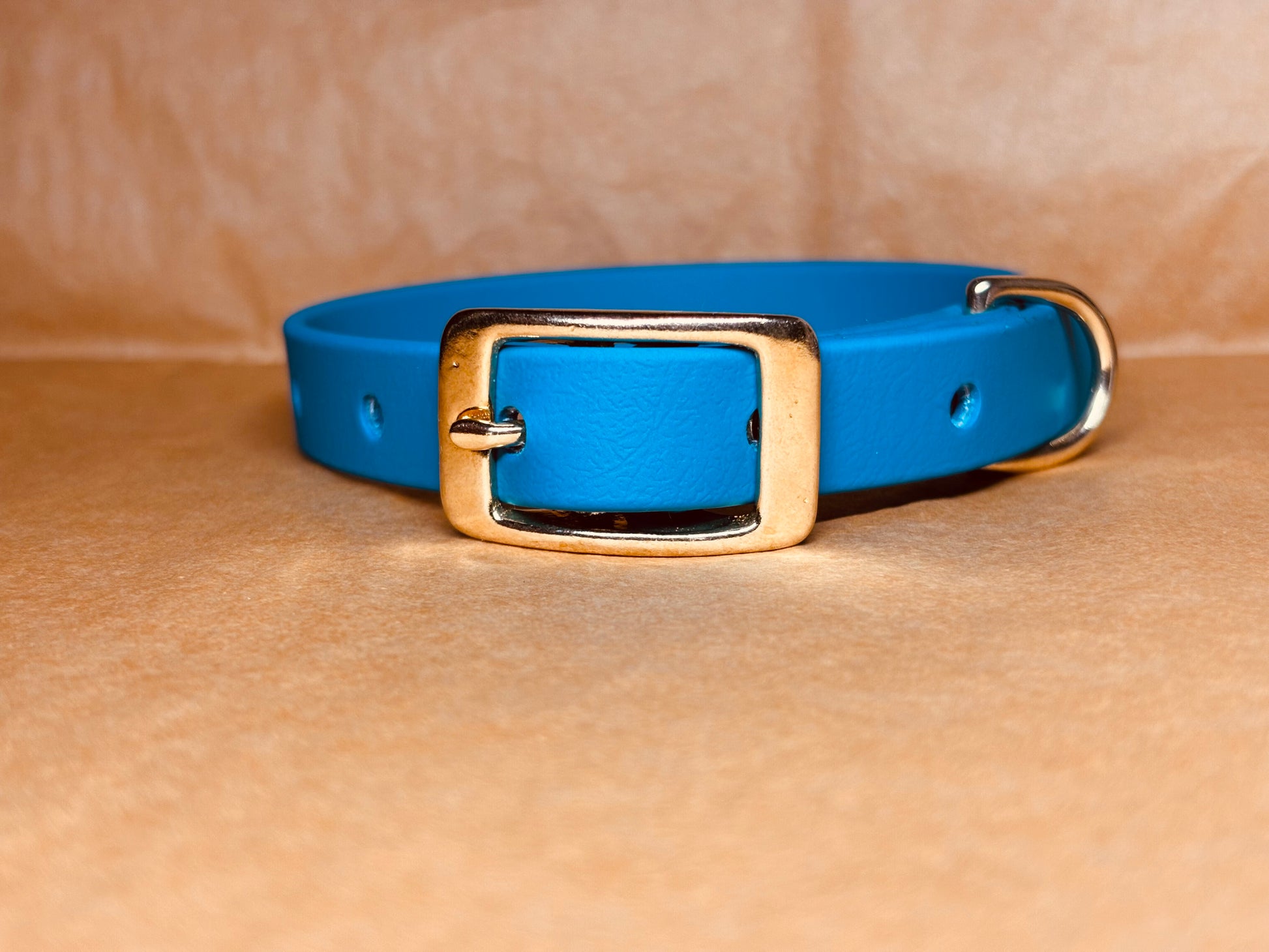 Collier original et solide pour chiens