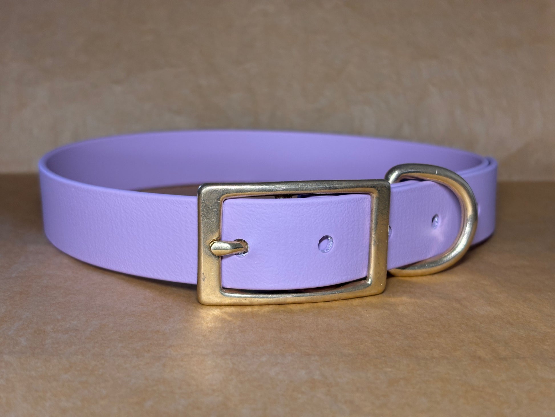 Collier pour chien Iris Biothane, couleur lilas, élégant et durable