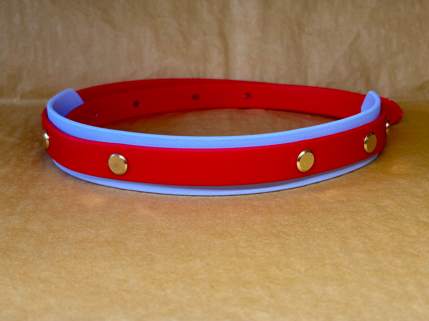 Collier pour chien "Odin" – Résistant et élégant pour grands chiens (52-62 cm