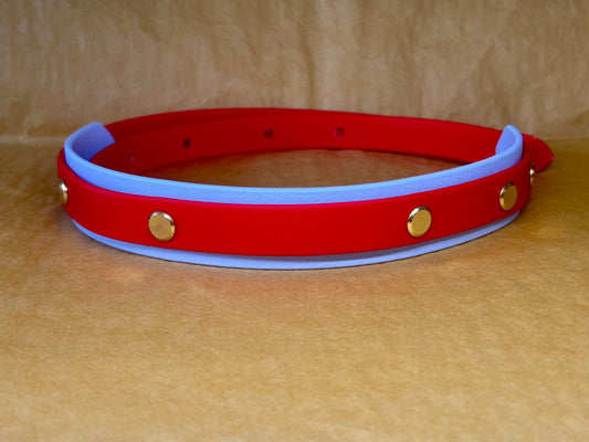 Collier pour chien "Odin" – Résistant et élégant pour grands chiens (52-62 cm