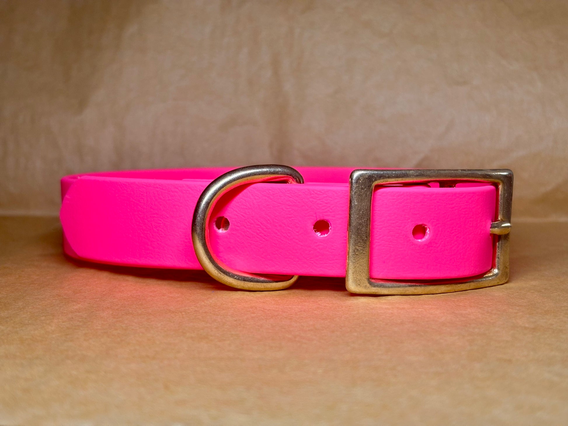 Collier pour chien Zara Biothane, rose fluo ultra-visible