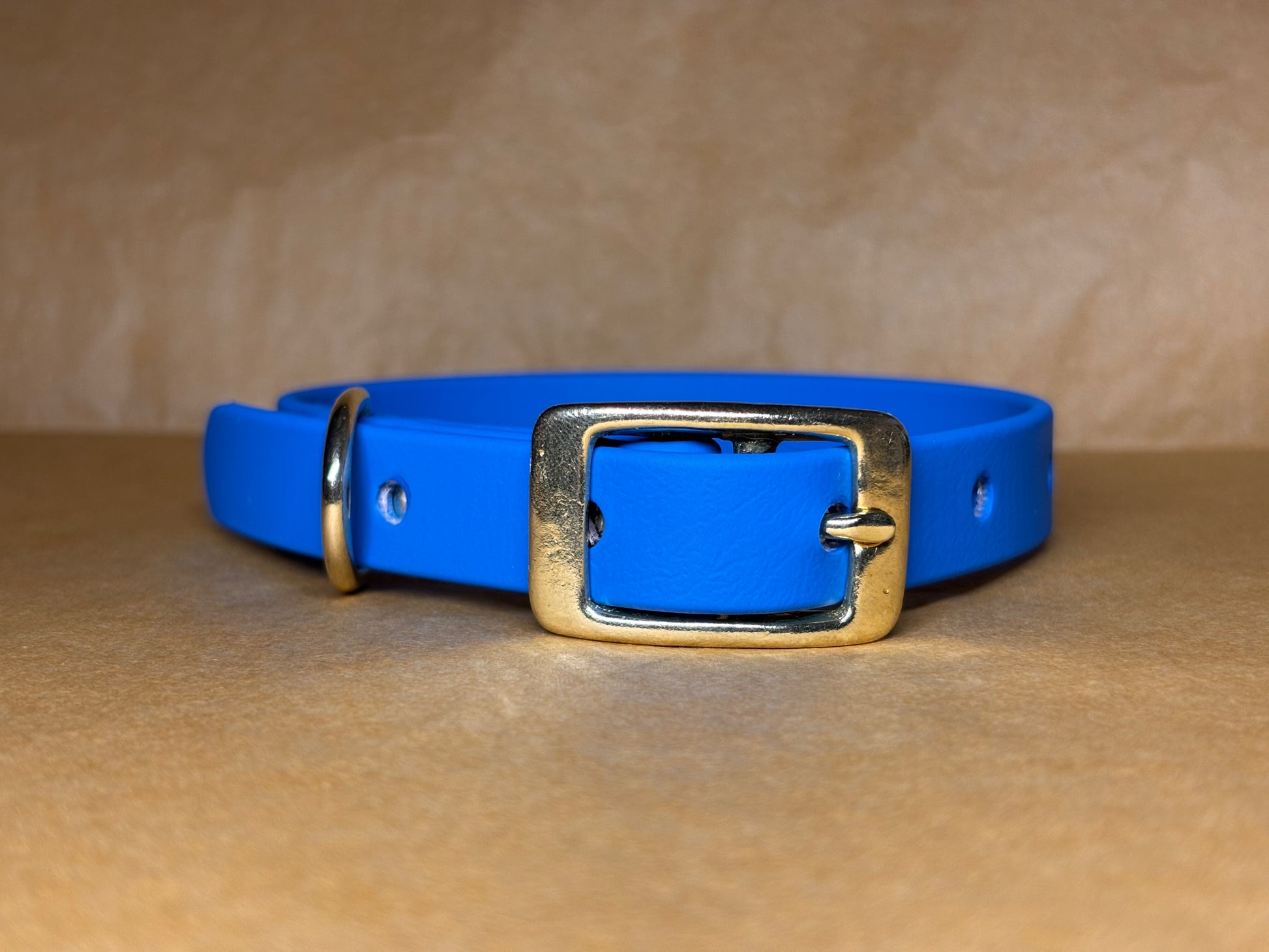 Collier résistant imperméable pour chiens – modèle Teddy