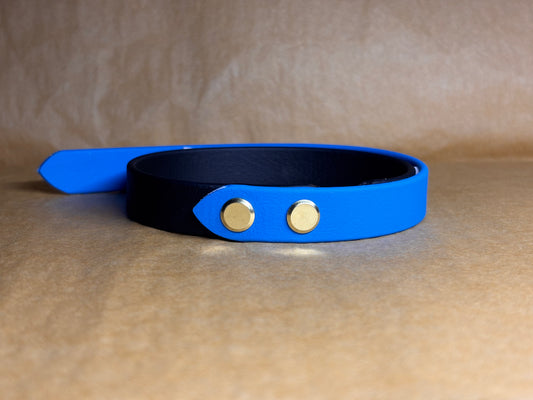Collier pour Petit Chien en Biothane – Modèle "OSLO" – Taille S