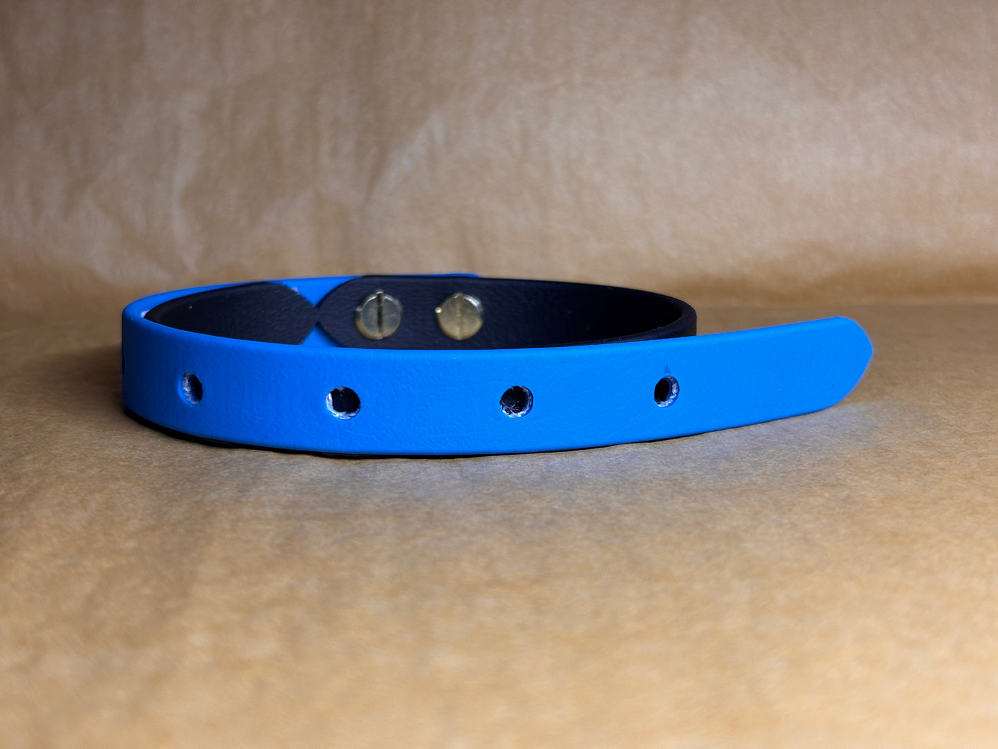 Collier pour Petit Chien en Biothane – Modèle "OSLO" – Taille S