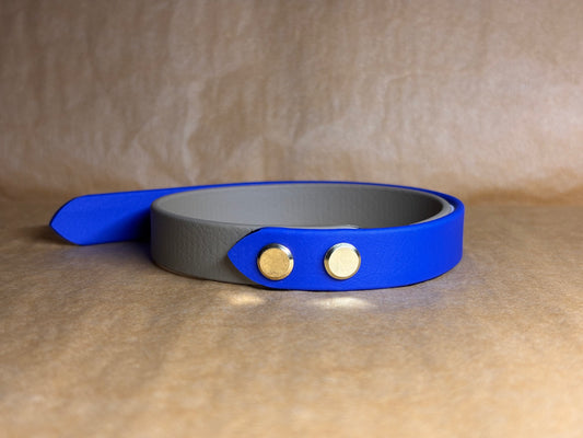 collier Biothane petit chien