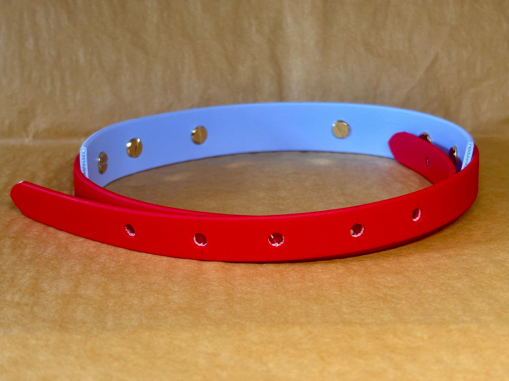 collier Biothane pour chien