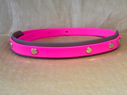 collier atlas pour grand chien en Biothane