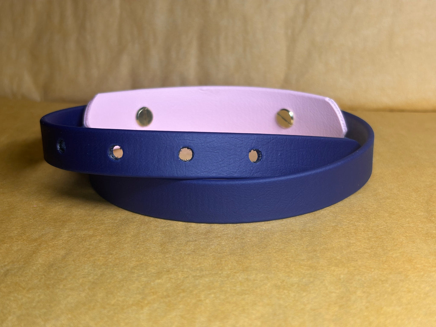 collier chien Biothane