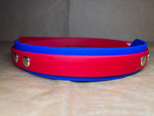 collier chien fait main modèle Ébène