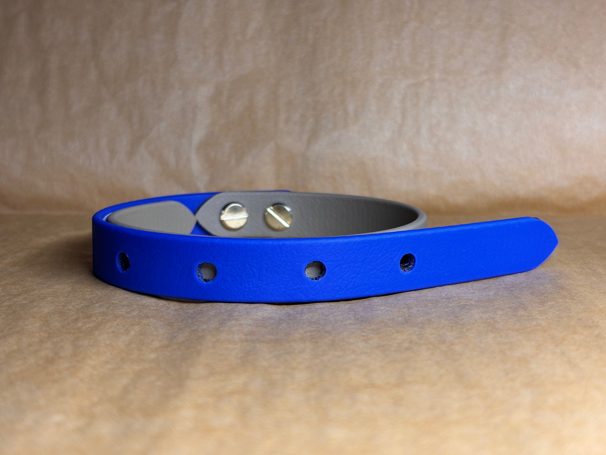 collier chien taille S