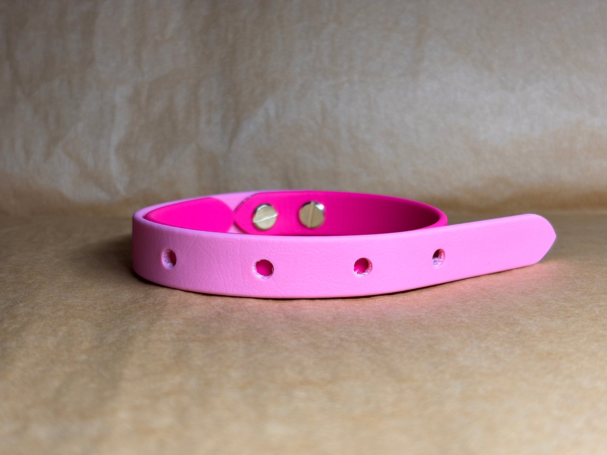 collier chien taille S Biothane