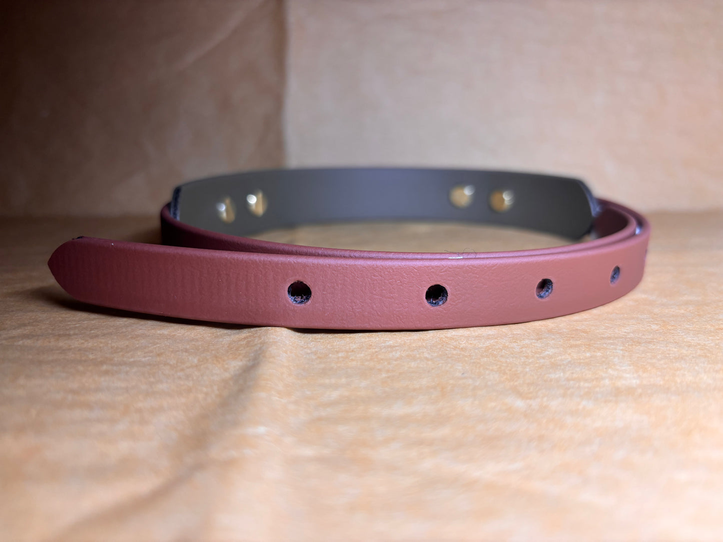 collier élégant et résistant pour chien taille L