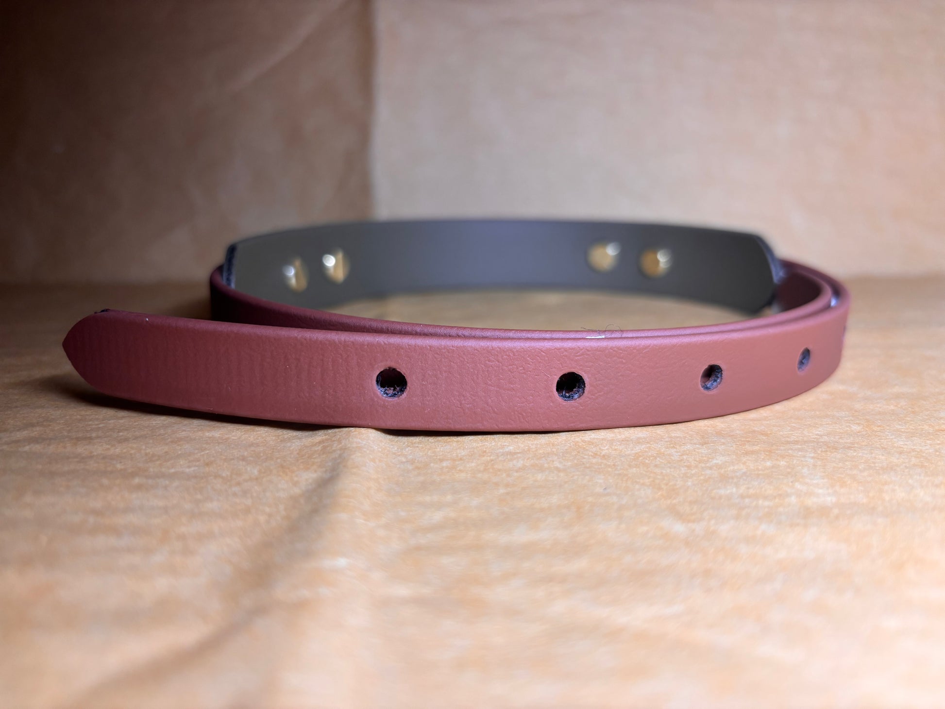 collier élégant et résistant pour chien taille L