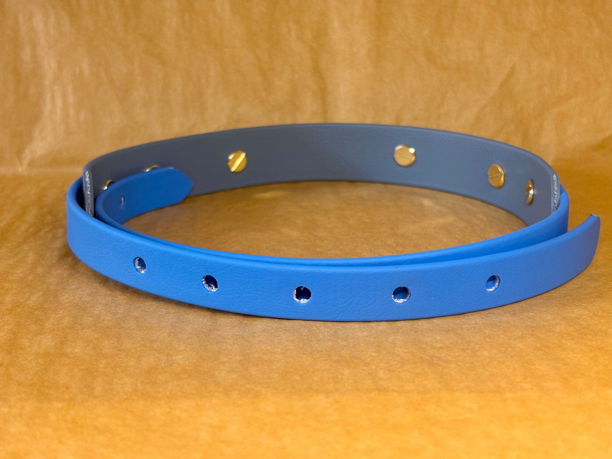 collier pour chien XL robuste et imperméable