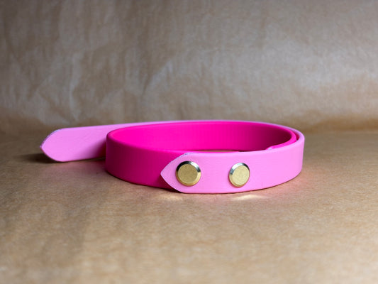 collier pour petit chien