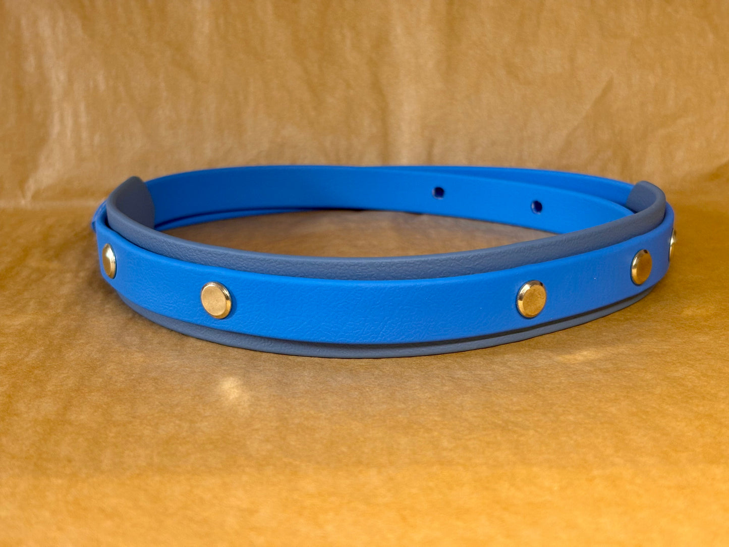 collier titan pour grand chien en Biothane