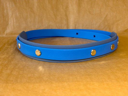 collier titan pour grand chien en Biothane